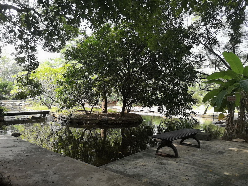 公司后花园-3